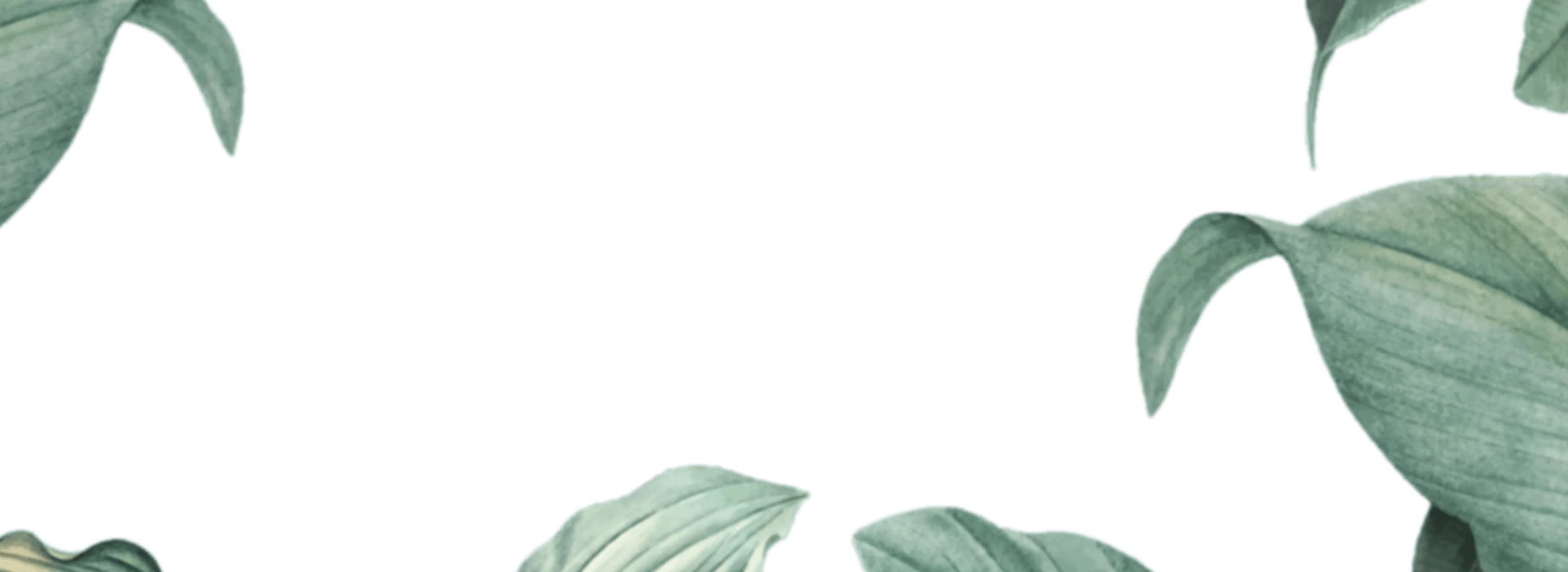 img-slider-leaf
